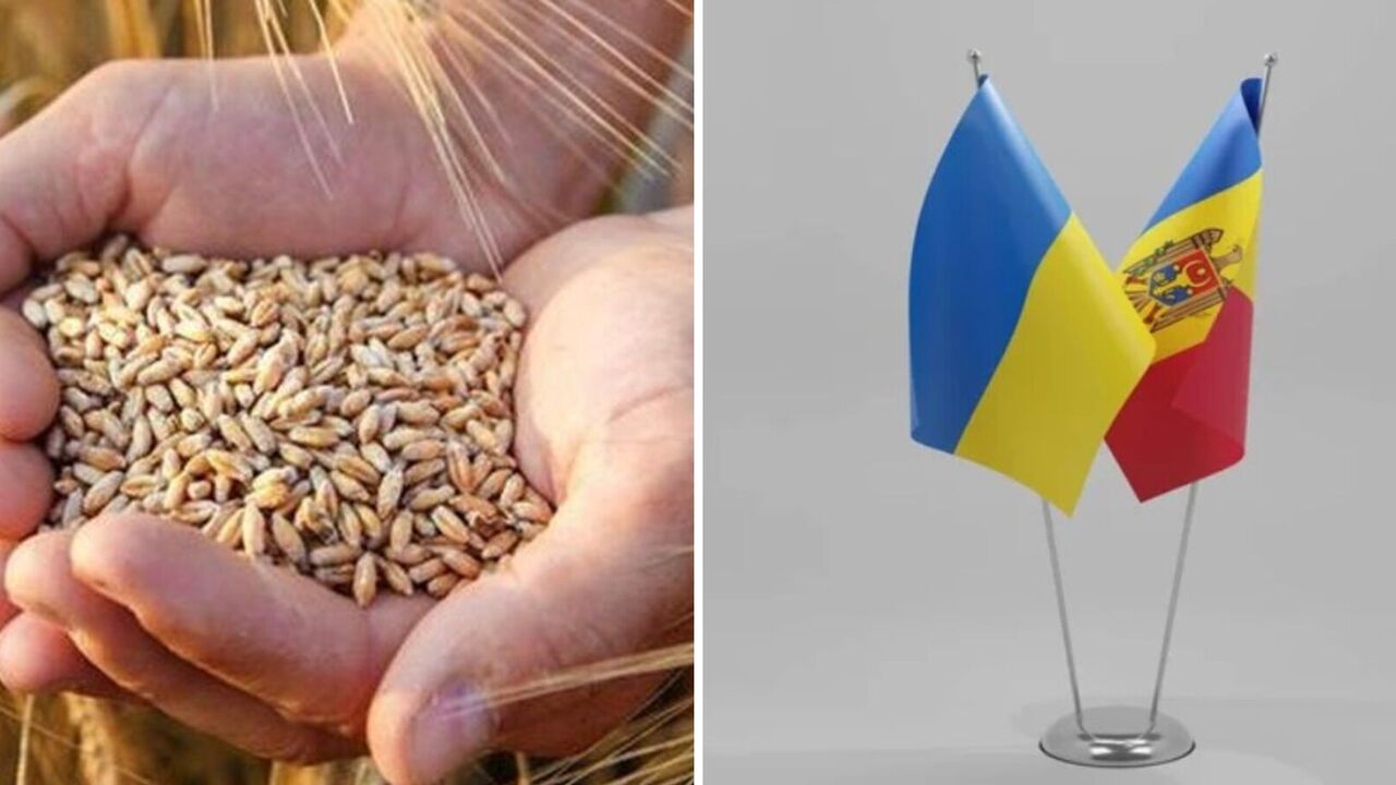 Moldova has changed its mind about restricting import of Ukrainian grain