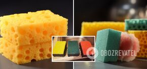 Why dishwashing sponges have different colors: an interesting fact
