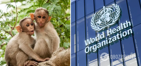 No longer a global emergency: WHO revises monkeypox decision