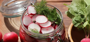 How to pickle radishes: kept in the refrigerator for up to 3 months