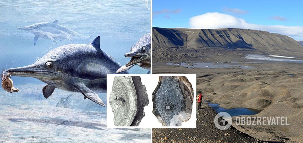 Fossils of an animal older than dinosaurs found: the theory of evolution may change