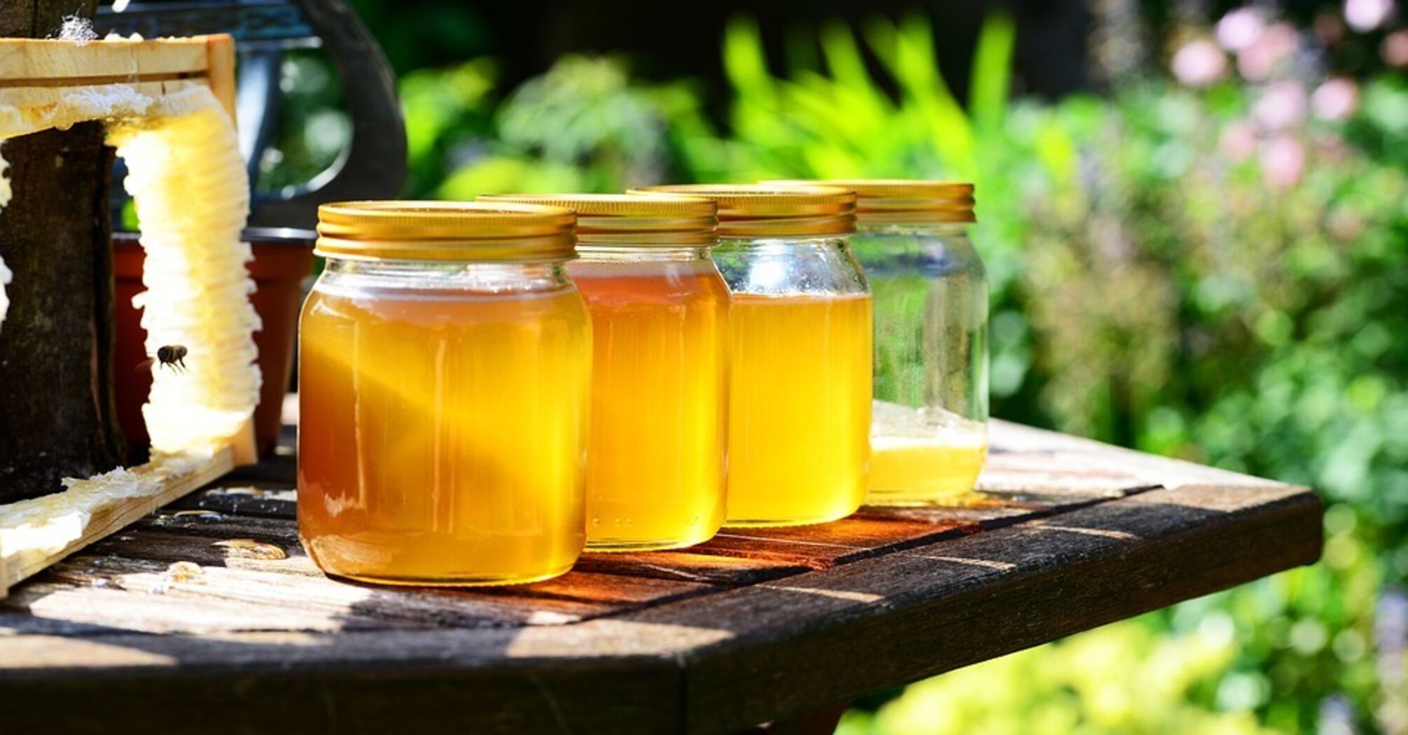 How to test honey for naturalness: three easiest ways