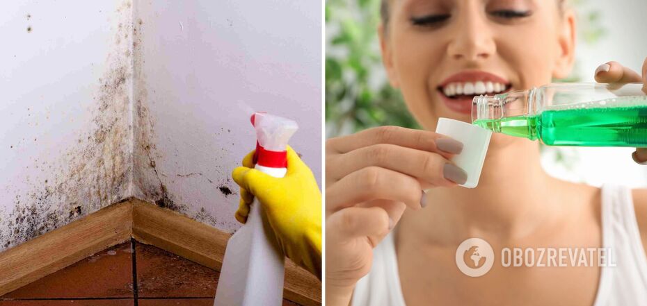 Forget about mould: a simple way to get rid of the 'pest'