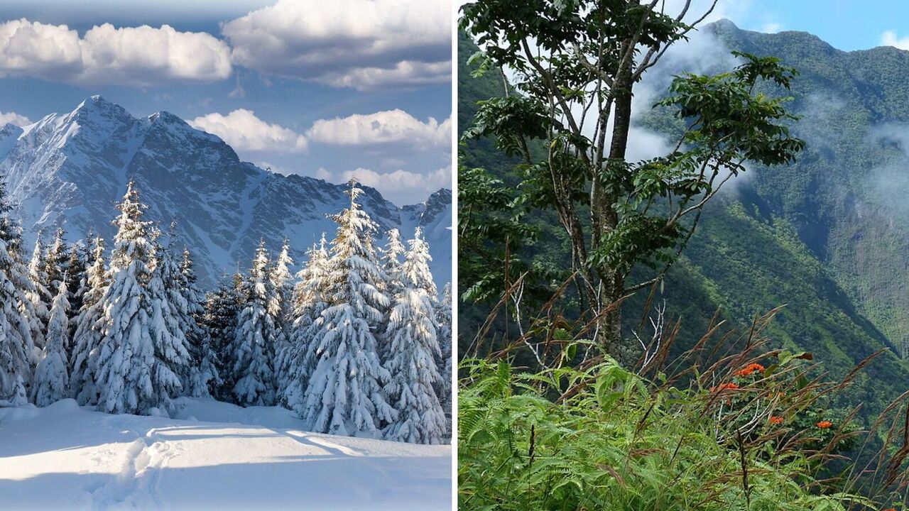 Nature in peril: scientists make alarming discovery about extinction