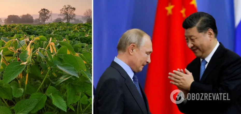 Putin chce karmić Chiny soją