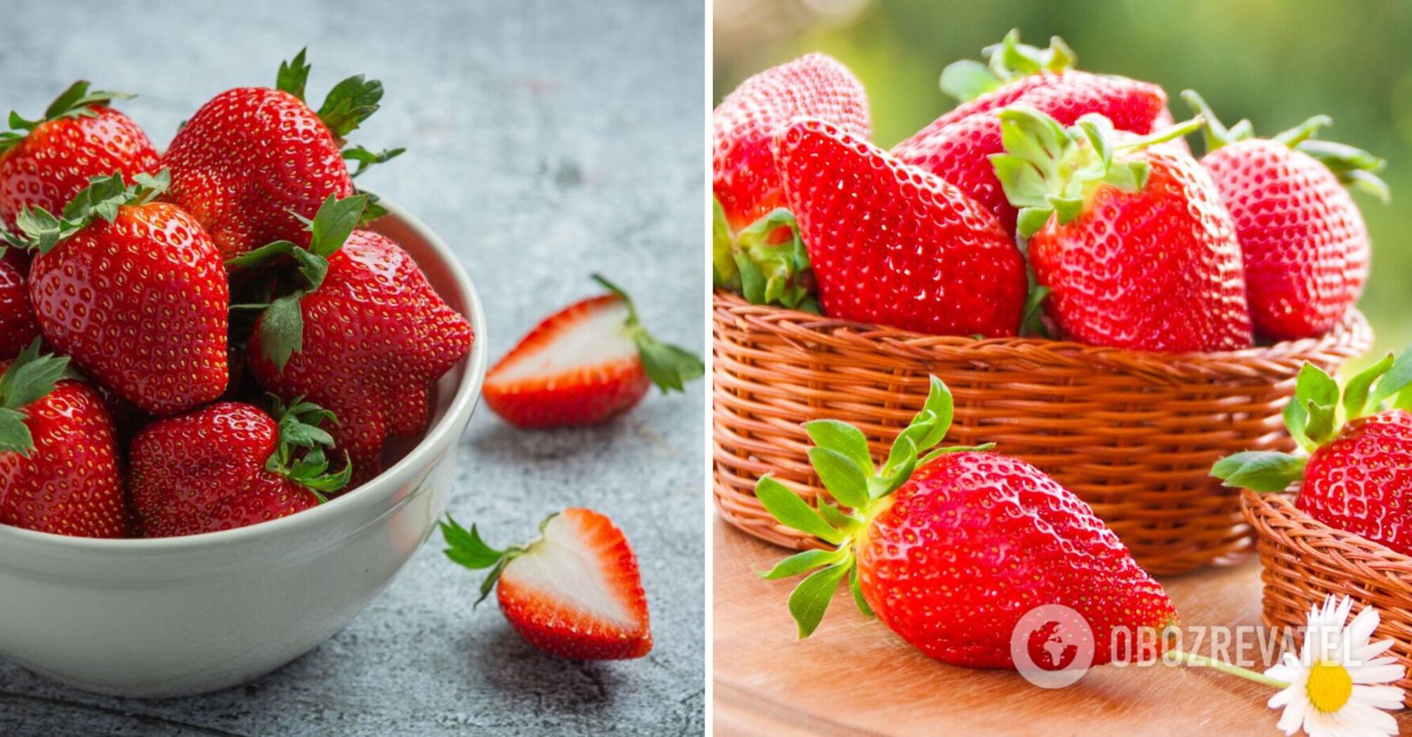 Occupants mined fields near Melitopol: Gauleiter Balytskyi gave up everything to Russian TV