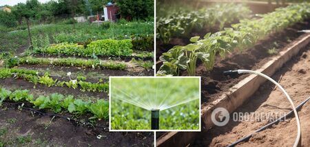 Saves the crop from the heat: how to make drip irrigation with your own hands