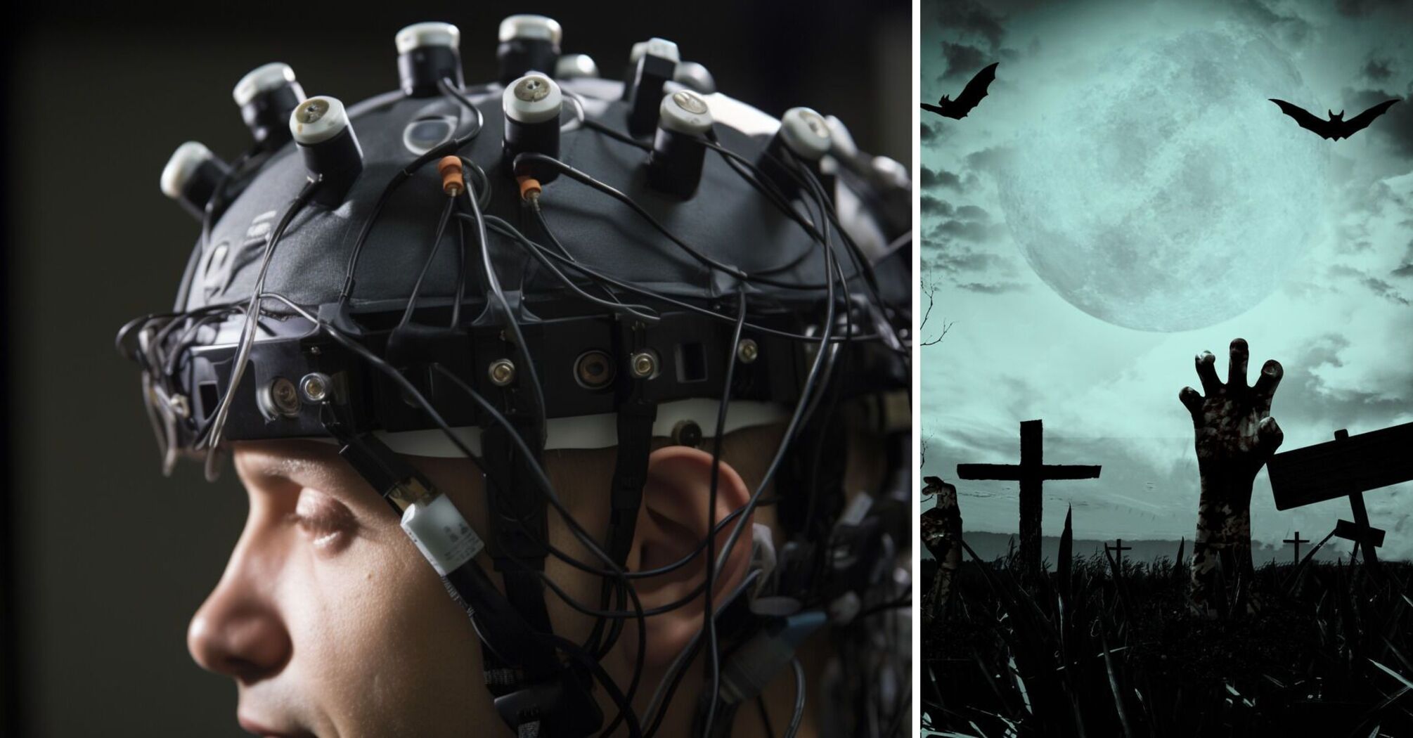 Do zombies exist? In Haiti, 3 people came back to life after death: what scientists have learned from their brains