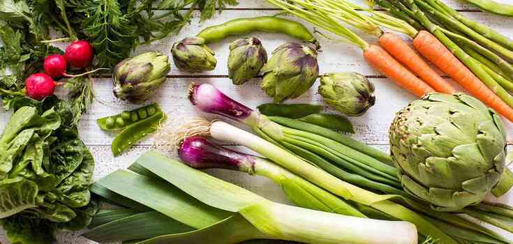 Which seasonal foods should not be frozen: they will simply go bad