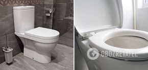 How to quickly remove plaque in the toilet: an ingenious trick