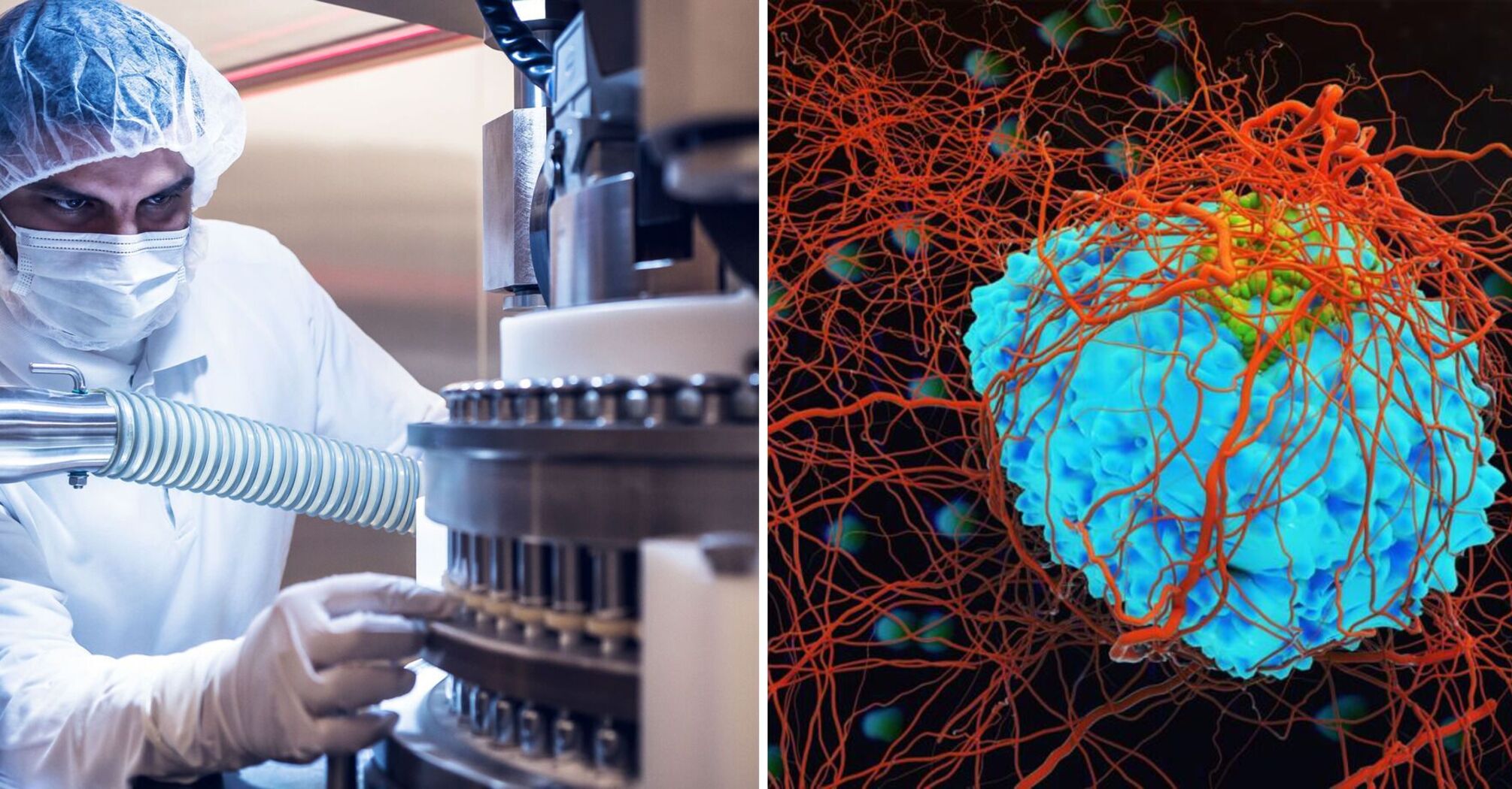 Scientists have figured out how to defeat the "Everest gene" that causes cancer growth