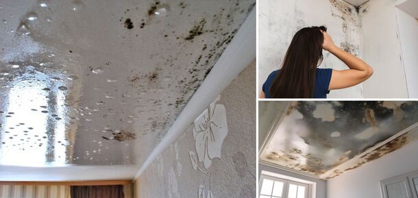 What to do if there is mold on the stretch ceiling: how to get rid of it