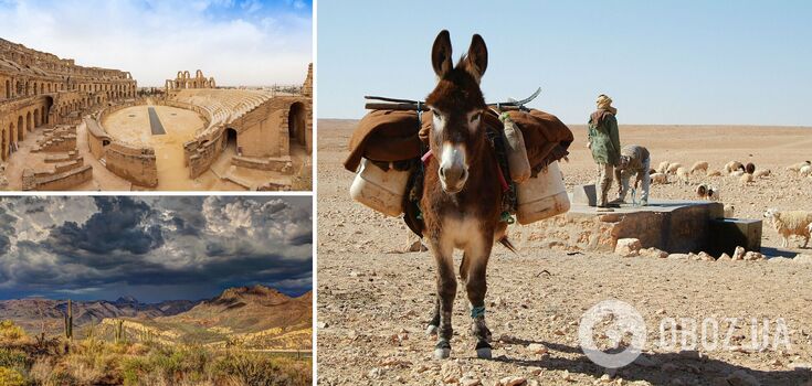 "Star Wars, a ban on beards, and the insulting "kitty kitty": What Tunisia Surprises Tourists