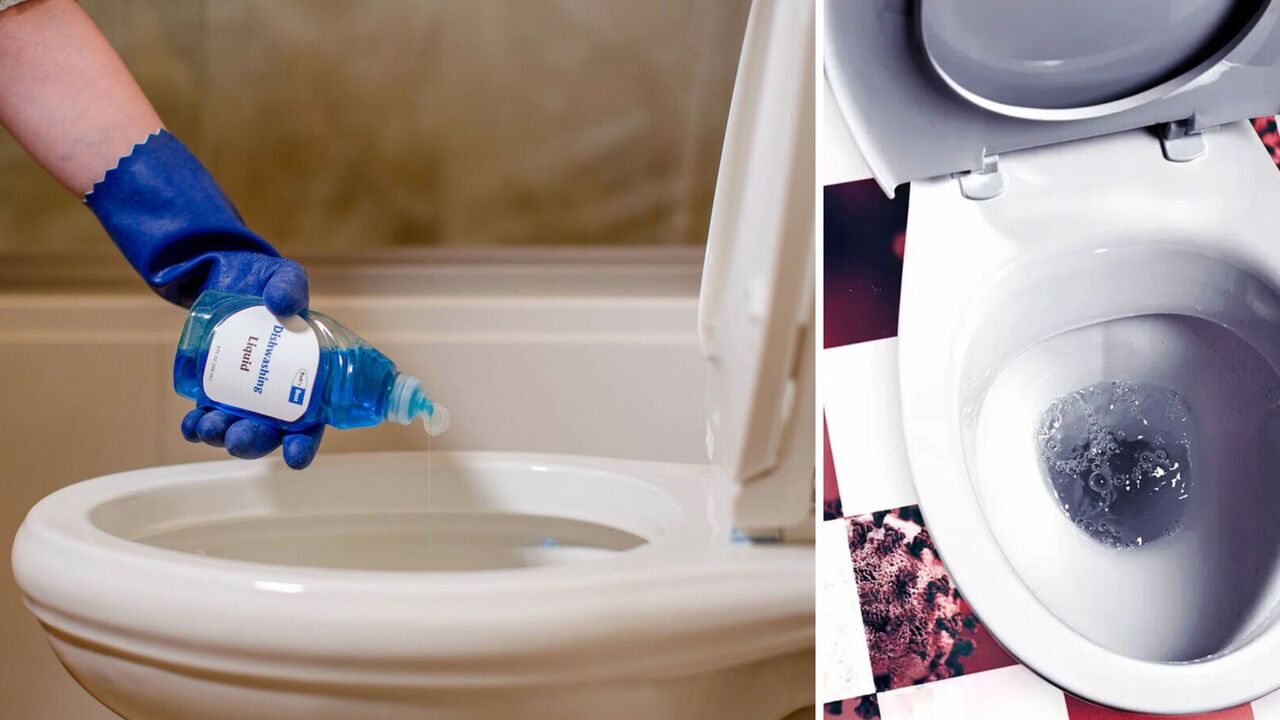 Jak wyczyścić zatkaną muszlę klozetową w minutę: przystępny life hack