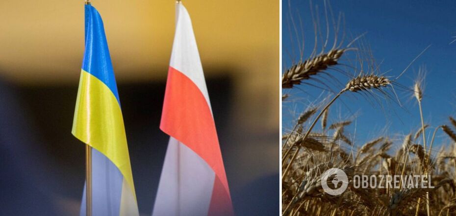 Ukraine lost tens of millions of dollars due to Poland's ban on grain imports