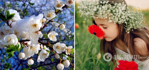 Five regions will be covered with rain: forecasters gave the forecast for the weekend in Ukraine. Map