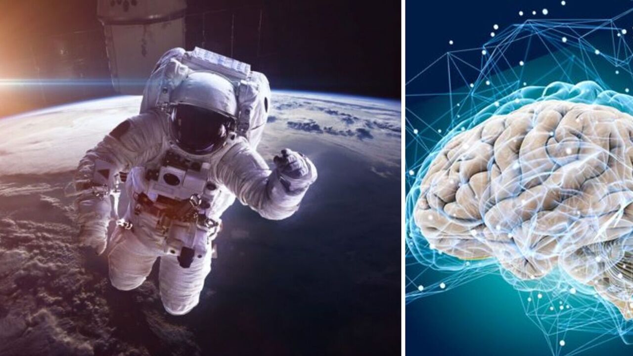 What happens to the human brain in space: scientists track changes