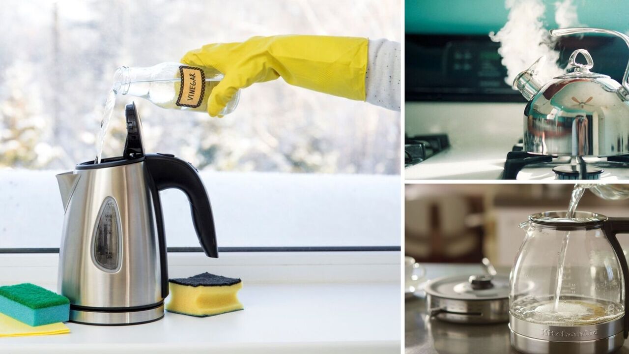 How to clean a kettle from plaque: an affordable way
