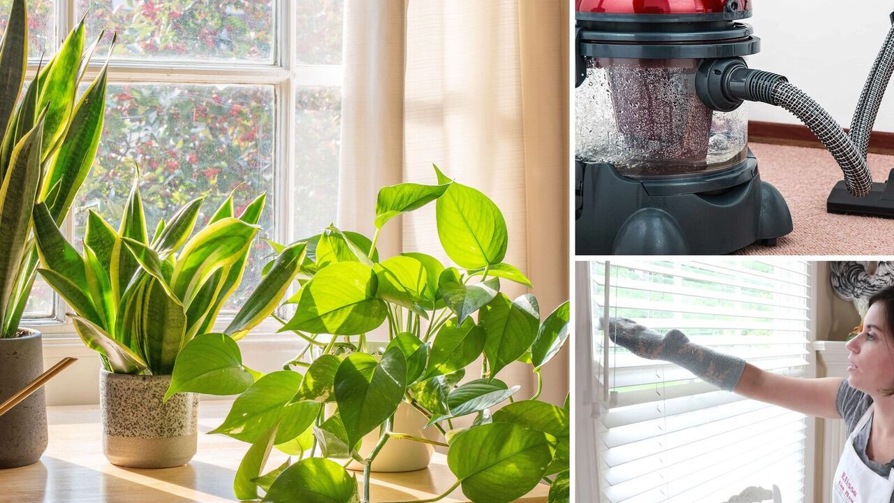 How to get rid of dust in hard-to-reach places: simple ways