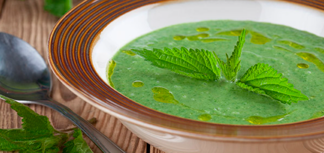 What is machanka and how to cook it from nettles: a traditional Transcarpathian recipe