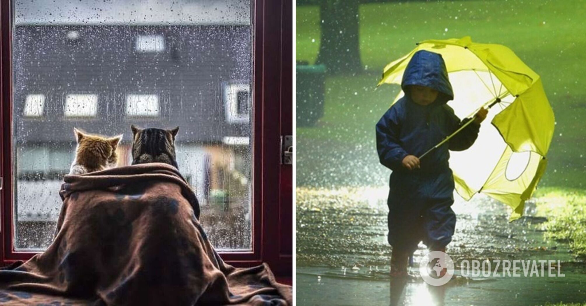 Part of Ukraine will be covered with rain: forecasters updated the forecast for Sunday. Map