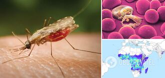 Globalne ocieplenie stanowi nowe zagrożenie dla ludzkości: co przewidują naukowcy