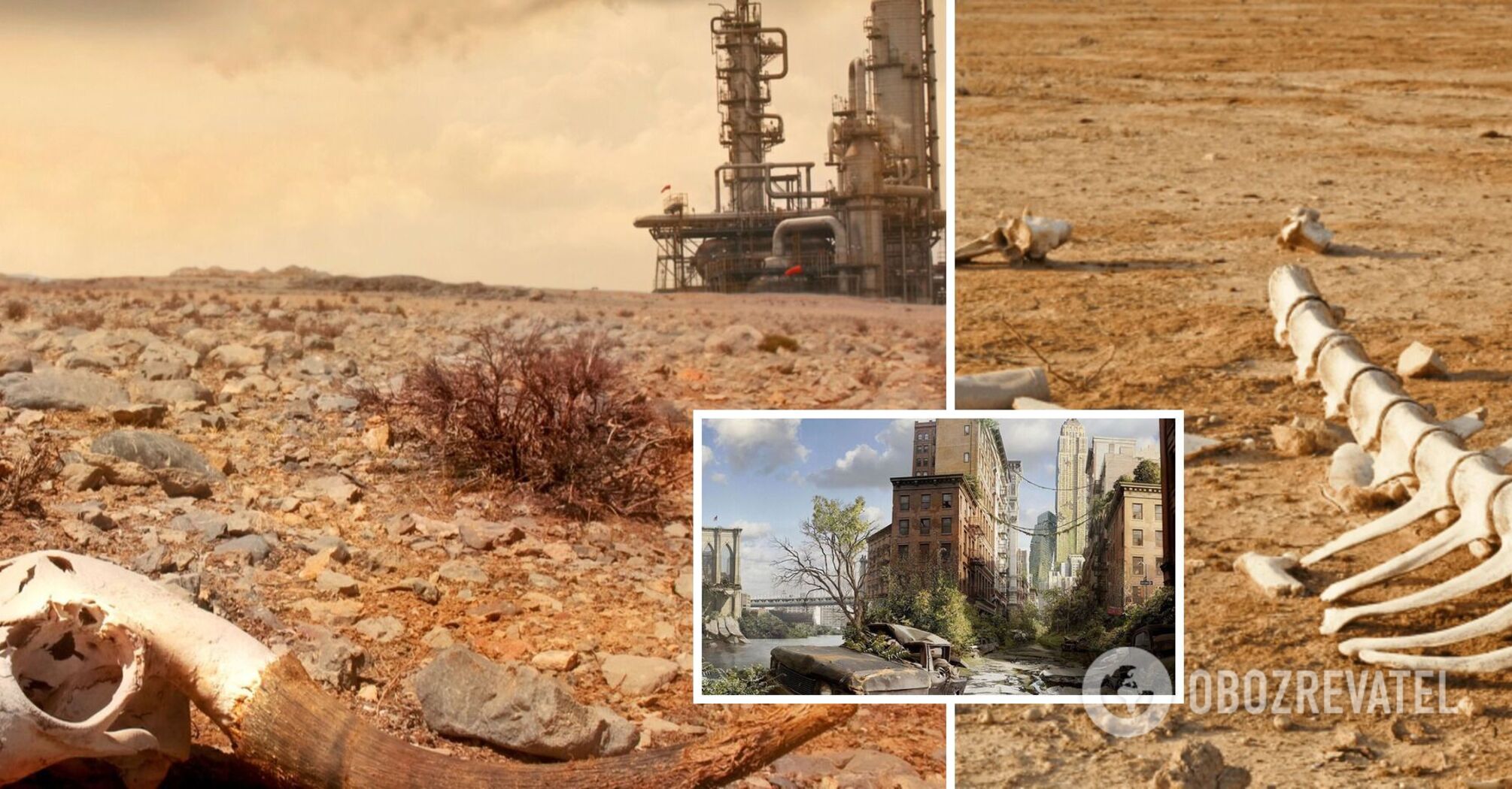27% of creatures will die out: scientists made a disappointing prognosis for life on the planet