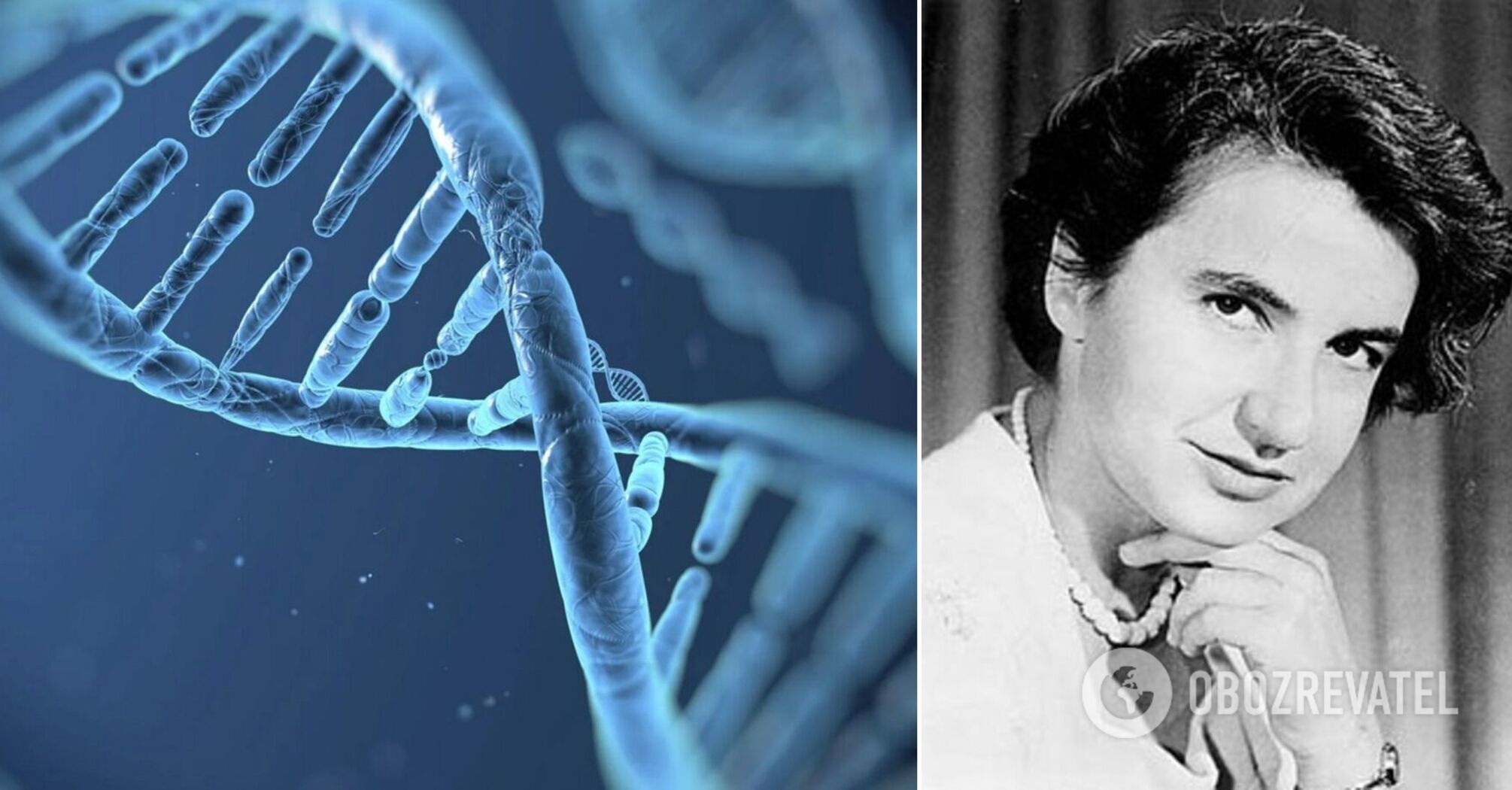 What the first ever photo of DNA looked like and who took it | OBOZ.UA