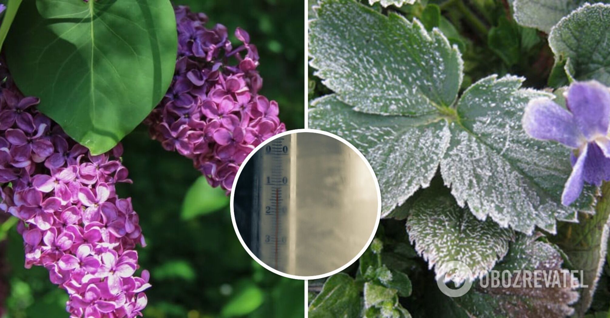 Rains predicted in Ukraine: what areas will be covered by bad weather