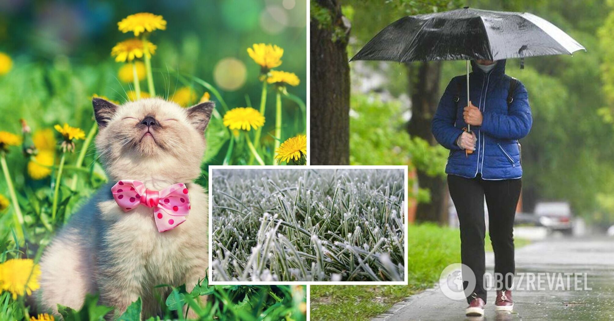 Daytime to +17, night frosts: forecasters gave the weather forecast for Tuesday, May 9