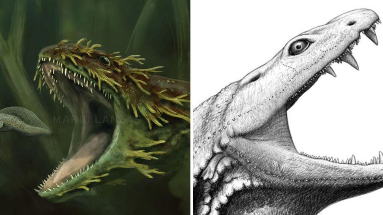 "Tadpole from hell", which terrified the Earth long before the dinosaurs, showed its face for the first time