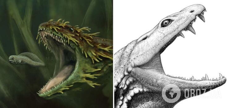 "Tadpole from hell", which terrified the Earth long before the dinosaurs, showed its face for the first time