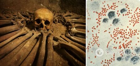 DNA from a plague that raged 4,000 years ago was found in Britain
