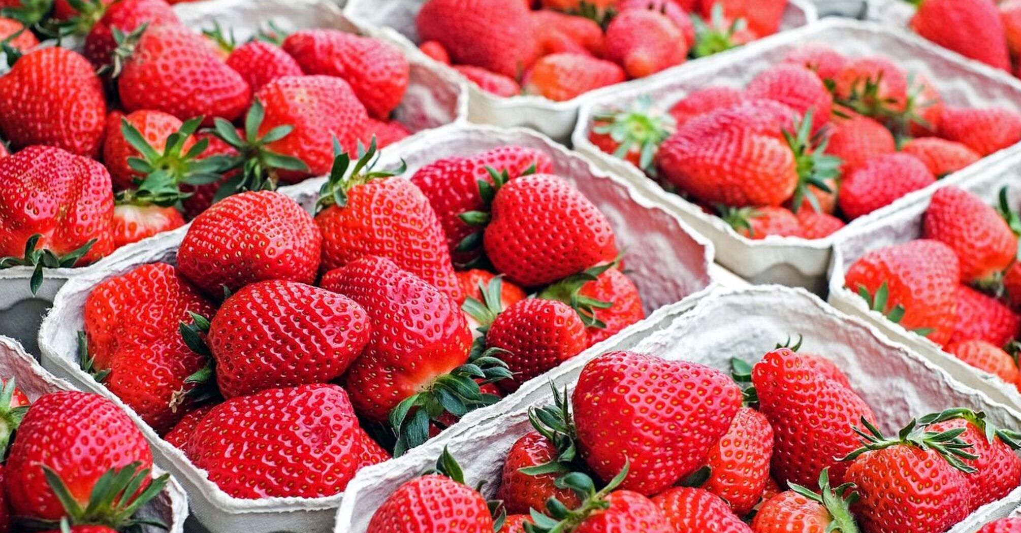 How to freeze strawberries whole so they're not watery: the best way