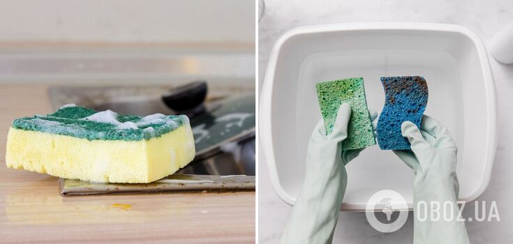 Kitchen Sponges