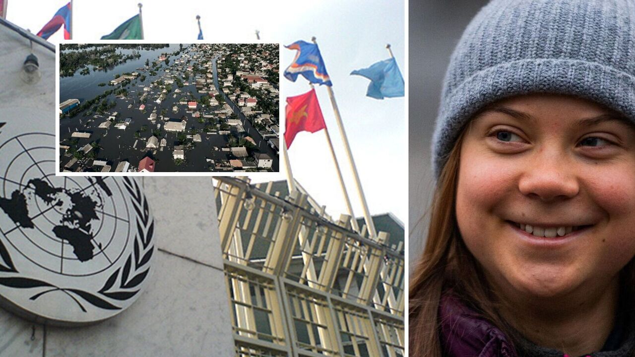 "We stand in solidarity with you": Greta Tunberg came to the Ukrainian picket of the UN office. Photo