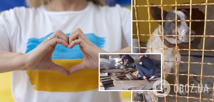 Massaged the heart: volunteers managed to bring back to life a dog from the Kherson region. Video