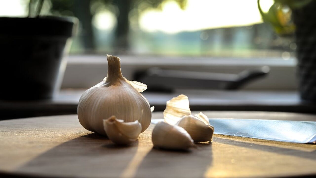 Not in the fridge: how to store garlic properly so that it does not dry out