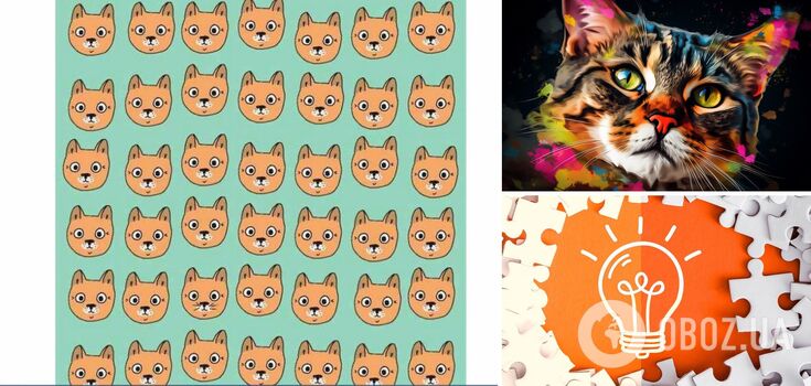 Find the strange cat: a puzzle for people with high IQs
