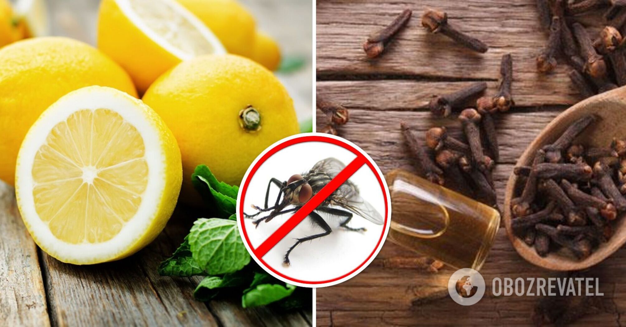 Homemade candle will fill the house with aroma and drive away flies: how to make it