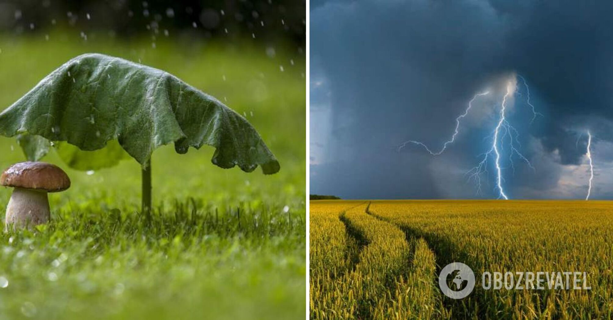 Rains, thunderstorms and squally wind: forecasters gave the weather forecast for Sunday, June 25