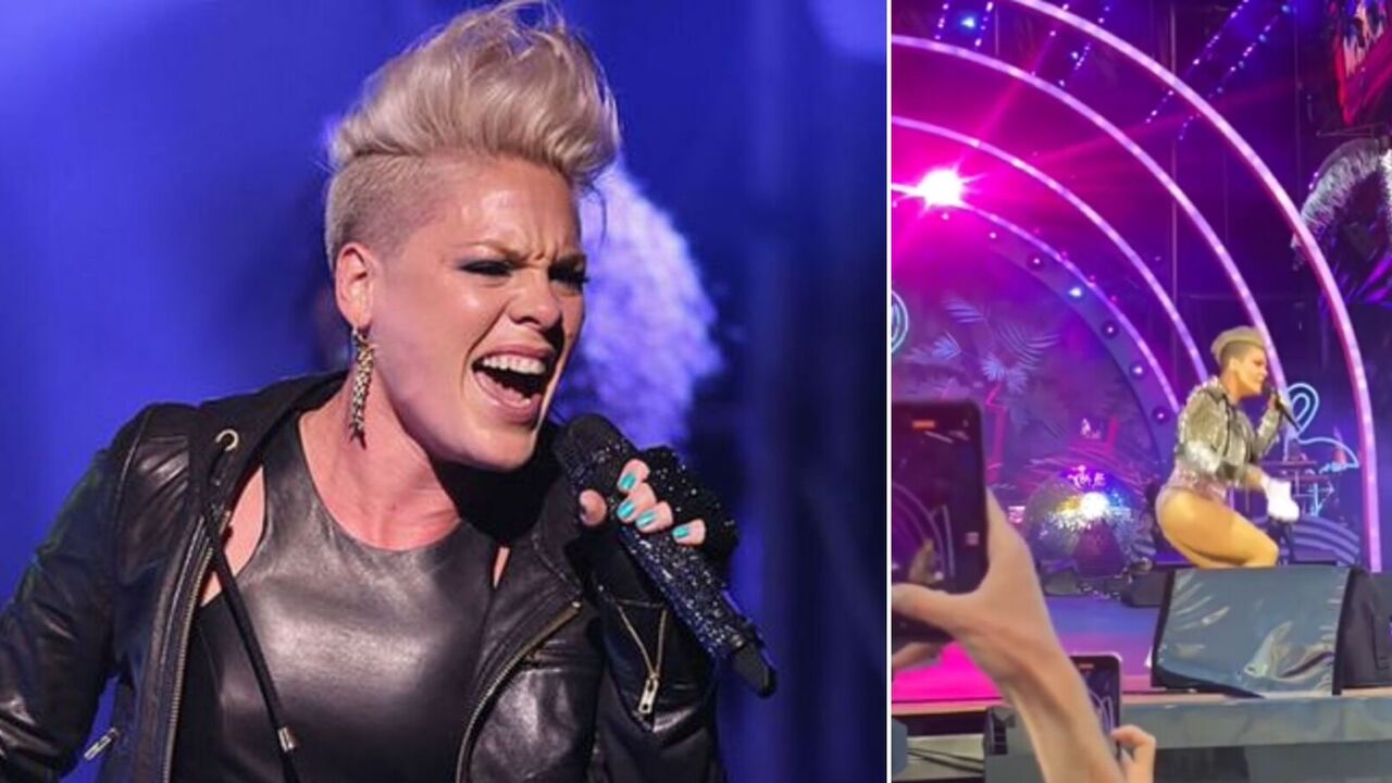 A fan threw a bag of their deceased mother's ashes at singer Pink right at a concert. Video