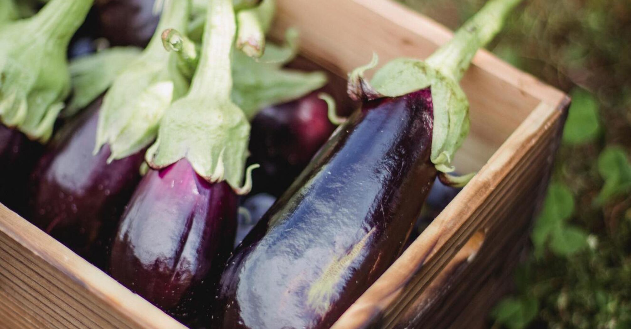 How to cook eggplants well