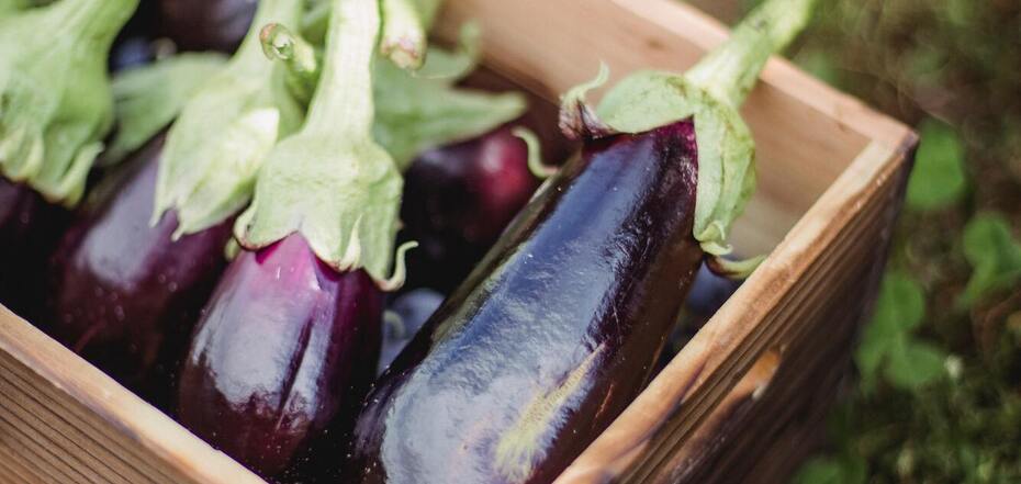 How to cook eggplants well