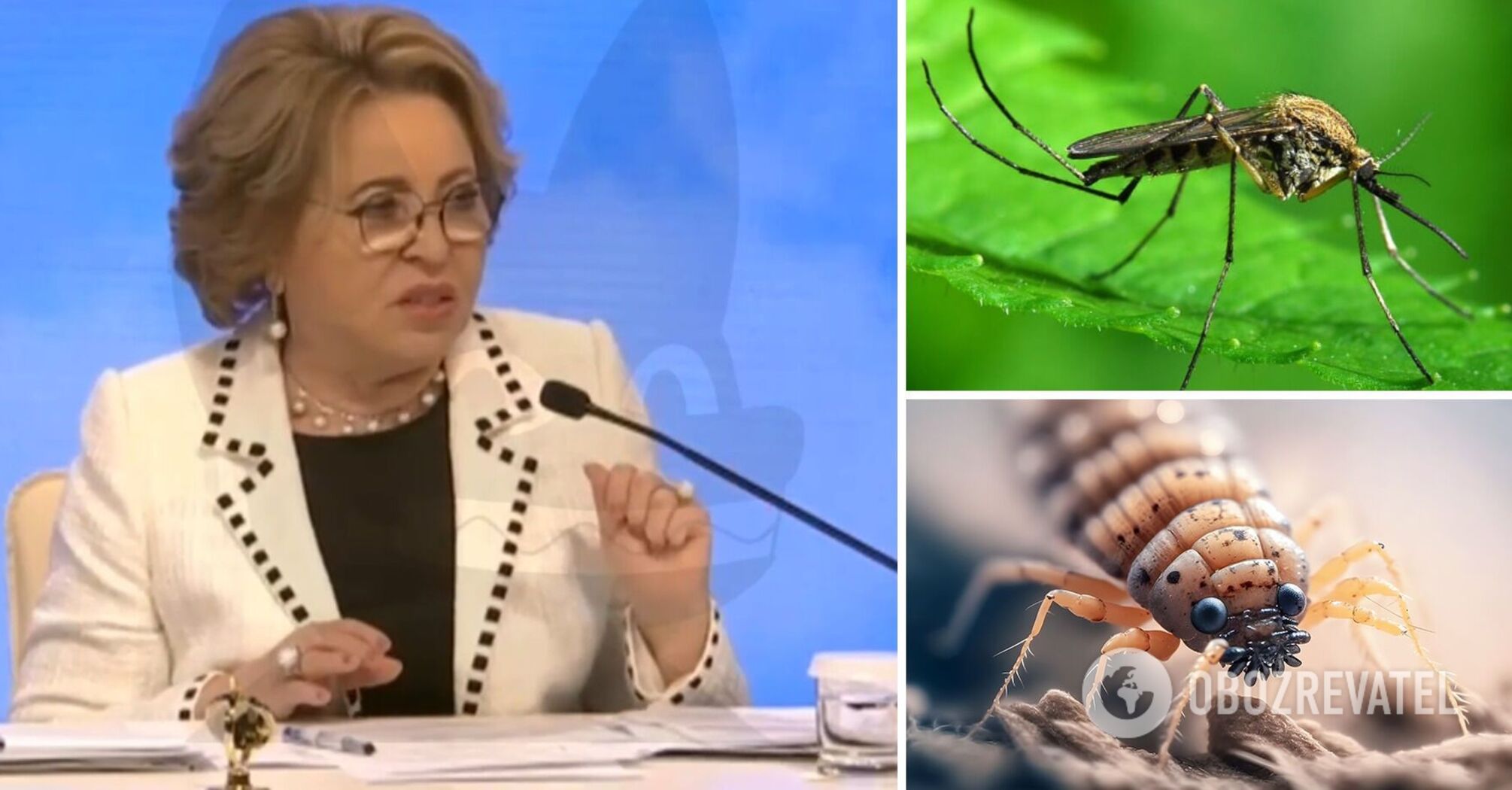 "Przejście na snajperów karasi": w sieci eksplodowały żarty z powodu oświadczenia Federacji Rosyjskiej o "zwalczaniu komarów i wszy na Ukrainie