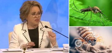 "Switching over to catfish snipers": the network exploded with jokes after Russian Federation's statement about Ukraine's "combat mosquitoes and lice"