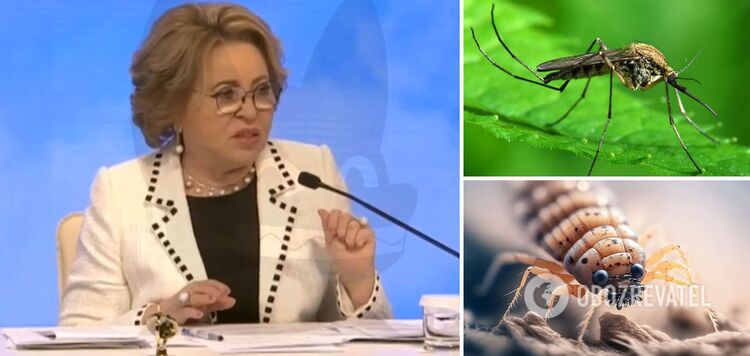'Switching over to catfish snipers': the network exploded with jokes after Russian Federation's statement about Ukraine's 'combat mosquitoes and lice'
