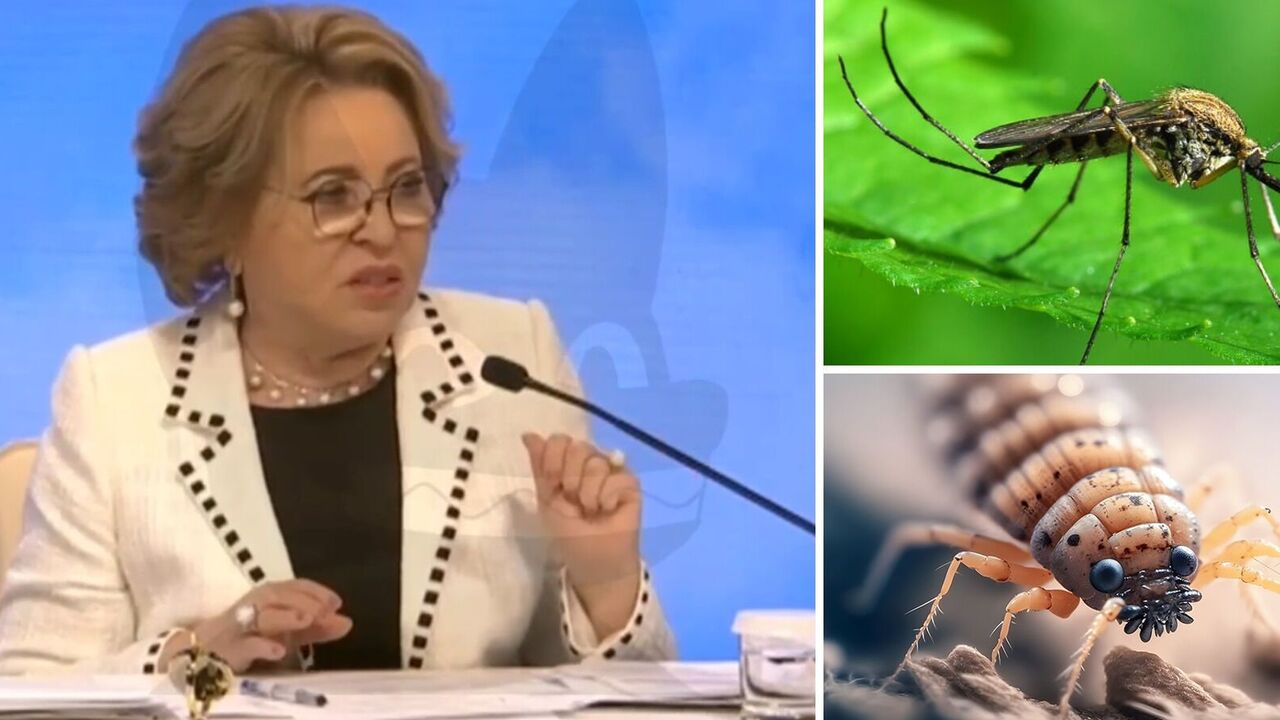 "Switching over to catfish snipers": the network exploded with jokes after Russian Federation's statement about Ukraine's "combat mosquitoes and lice"