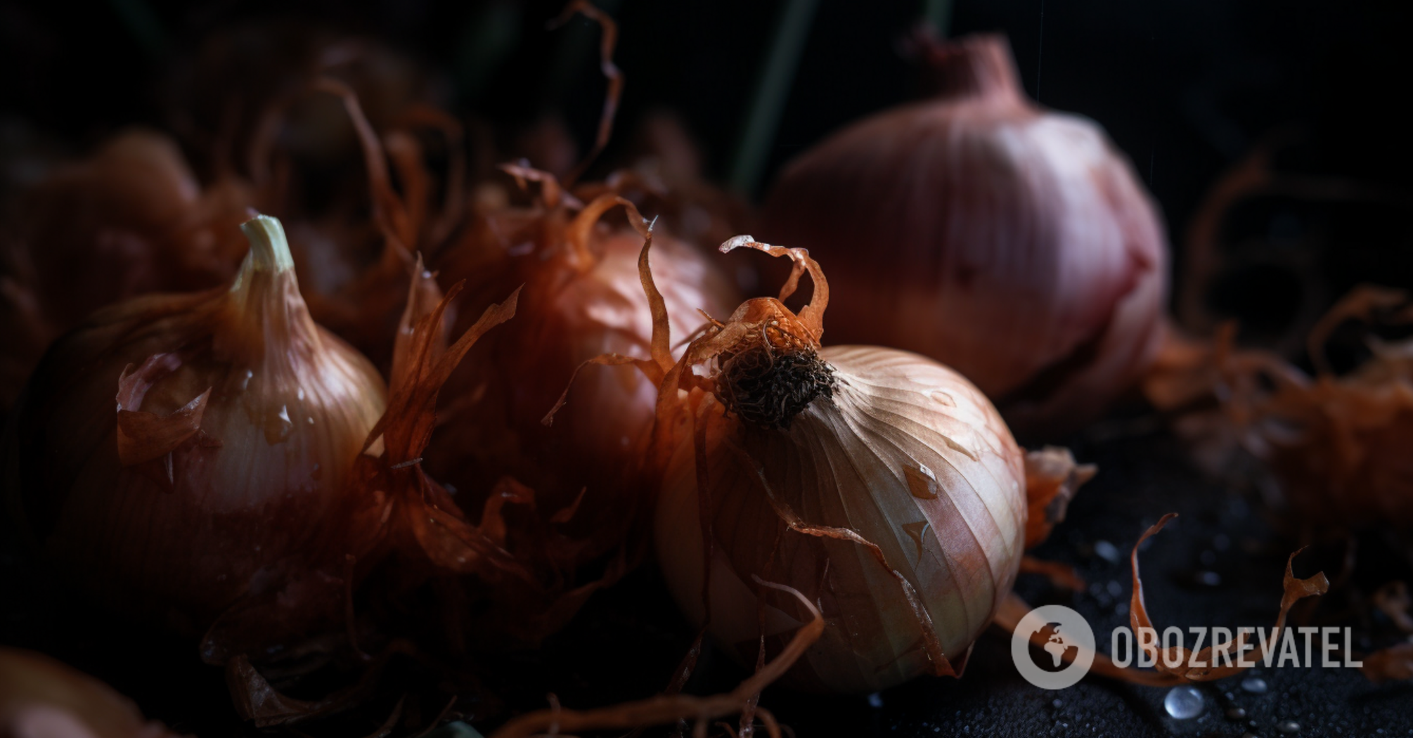 What to feed onions in June: the heads will be twice as big