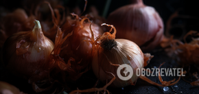 What to feed onions in June: the heads will be twice as big